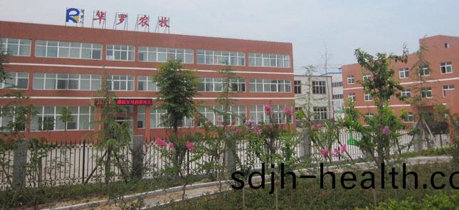 Company