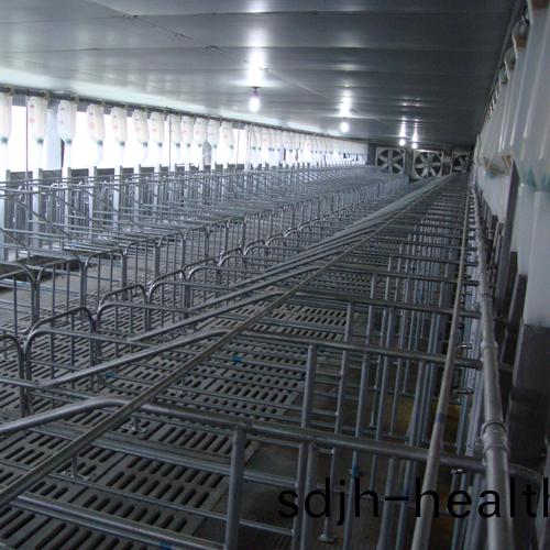 猪舍供料(liao)