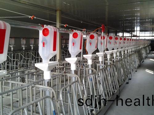 猪舍自(zi)动(dong)喂料